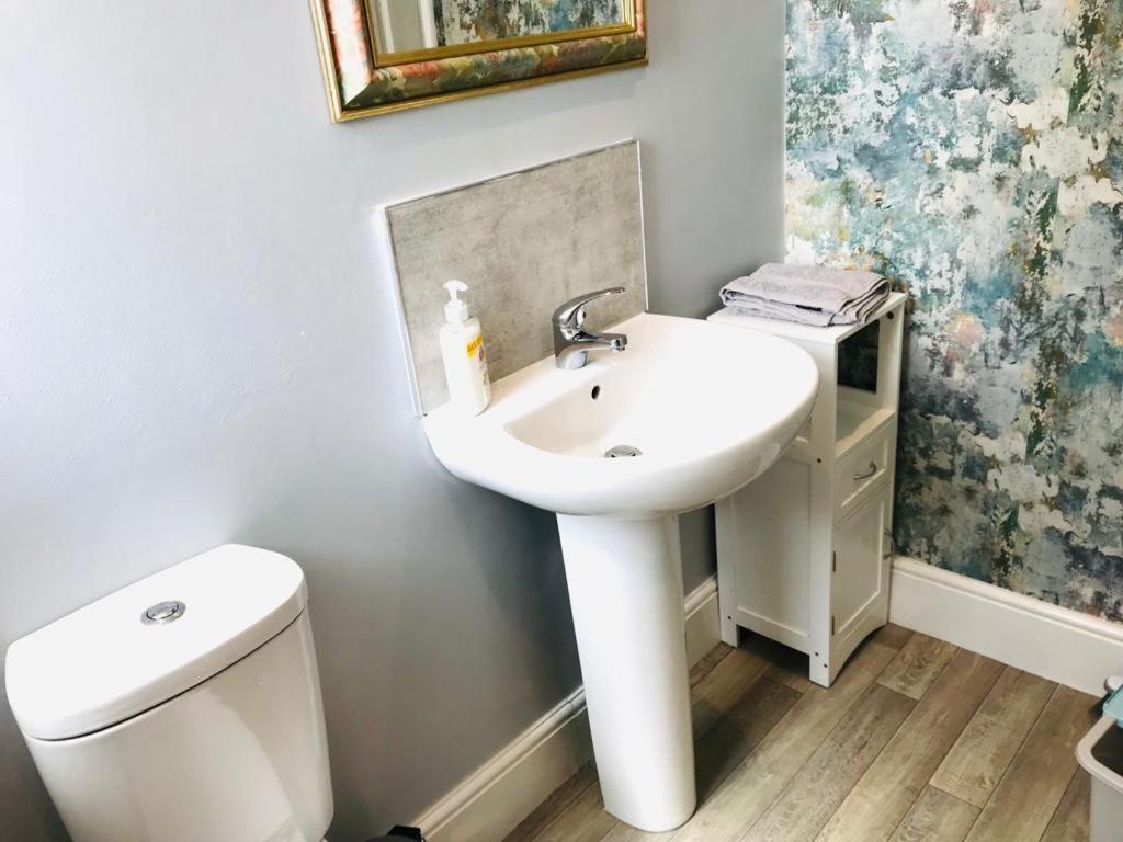 Albion Boutique Guest House 森德兰 外观 照片