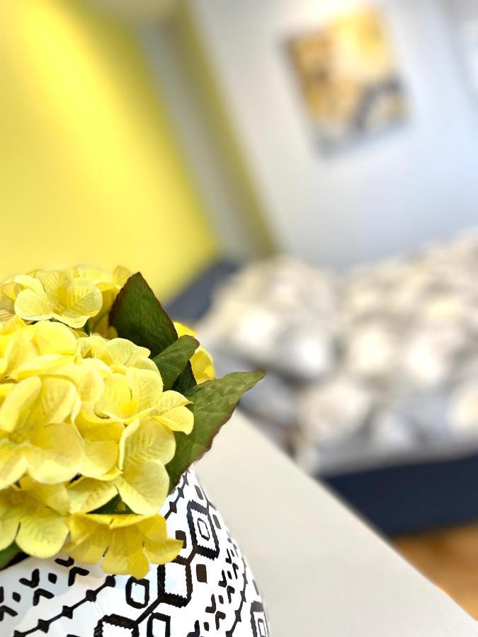Albion Boutique Guest House 森德兰 外观 照片